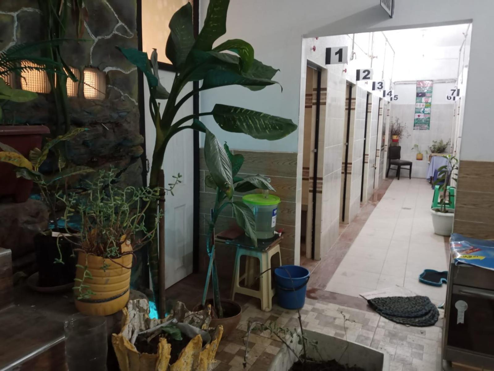 Casa Qura Qura Hostel Cochabamba Kültér fotó